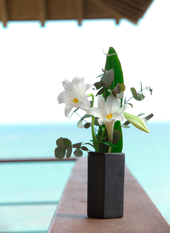 大地に彩る 初夏のお花 Hyakuna Garan 沖縄リゾートホテル 公式