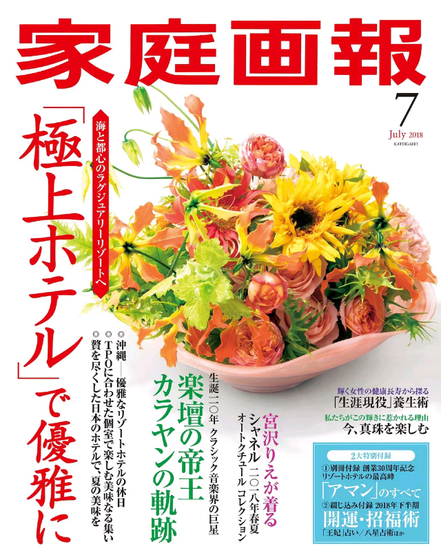 家庭画報雑誌 - 雑誌